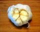 How To Cook Whole Garlic